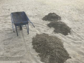 検見川の浜マリンスポーツ用具洗い場の砂撤去