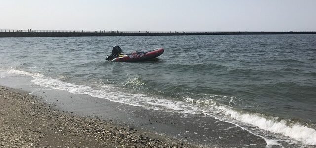 活動報告