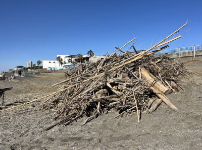 2025年12月検見川の浜ビーチクリン
