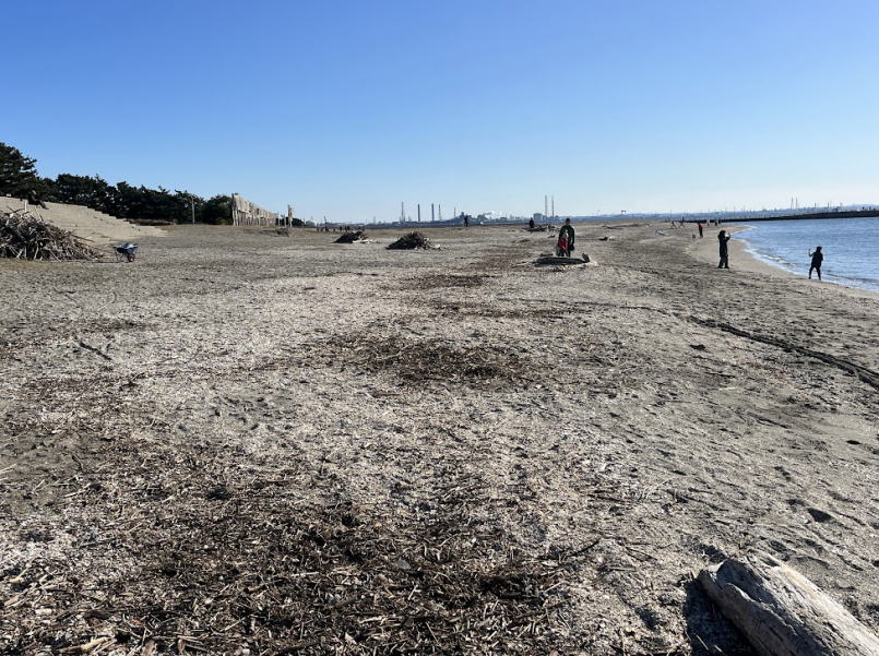 2025年12月検見川の浜ビーチクリン